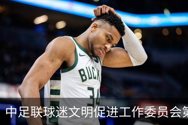 中足联球迷文明促进工作委员会第一次会议在青岛召开