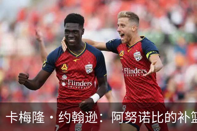 卡梅隆·约翰逊：阿努诺比的补篮绝杀极其困难 包含运气成分