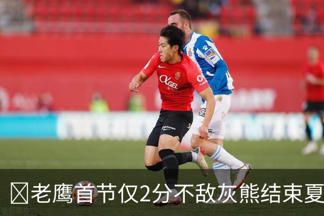 🏀老鹰首节仅2分不敌灰熊结束夏联3连胜 布泽尔24+7 科沃德23分