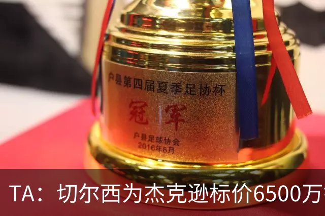 TA：切尔西为杰克逊标价6500万镑；希望以2500万镑卖出吉乌